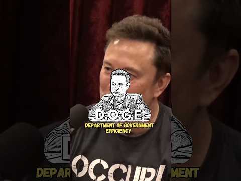 Elon Musk Explains Government Efficiency Commission Architecture
