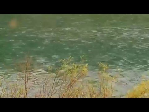 Larry Howard - The River Runs