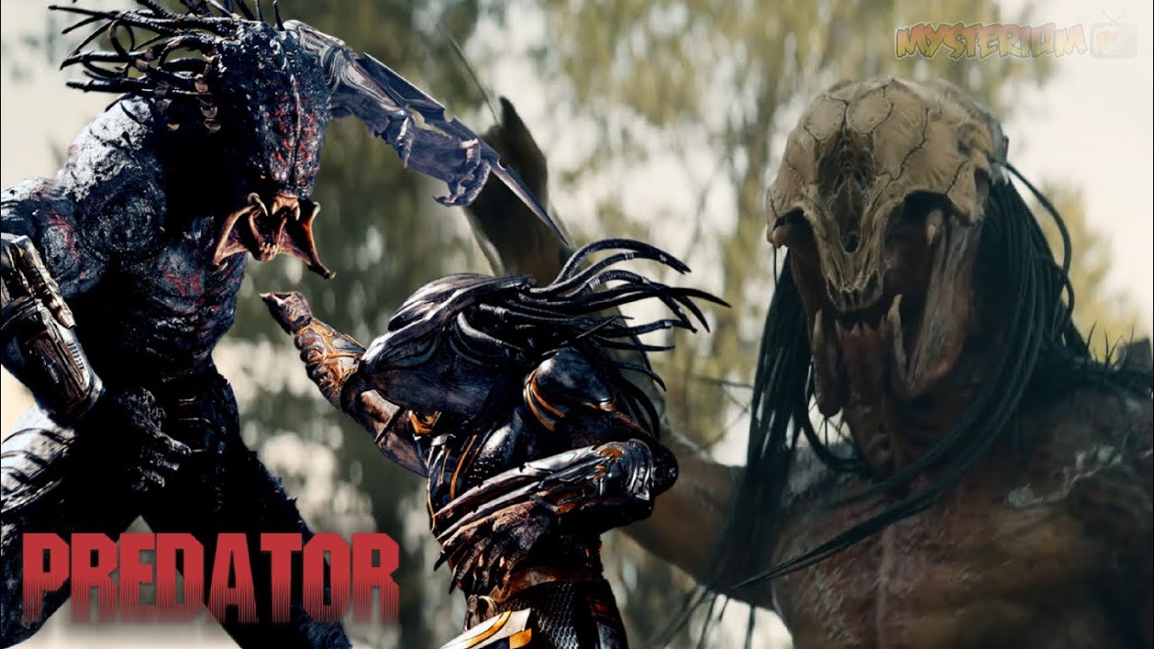 PREDADOR: TODAS AS RAÇAS E EVOLUÇÕES DO MAIS FRACO AO MAIS FORTE!