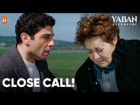 Kenan and Nurten almost had a car accident! - Yaban Çiçekleri