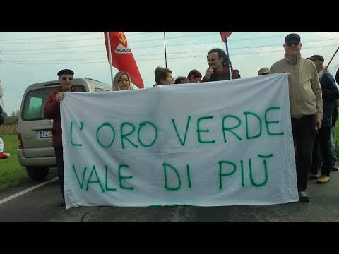 Manifestazione No interconnector - 2 Aprile 2017 - Settimo Milanese