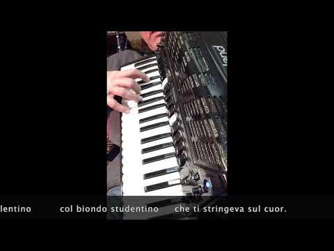 D. Karcic - Piemontesina Bella arranged and performed by Dominic Karcic