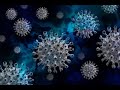 Pandemija U Hrvatskoj N1 Pregled 2020 Godine Koju Je Obilježio Koronavirus