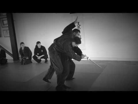 5 th Workshop in Dublin. Nage Waza from Bujinkan Tenchijin