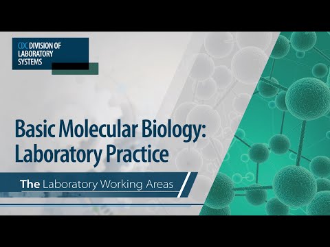 Basic Molecular Biology: Laboratory Practice – The Laboratory Working Areas
