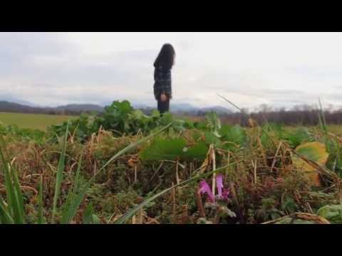 "Before My Time" ft. Scarlett Johansson and Joshua Bell - Student Music Video