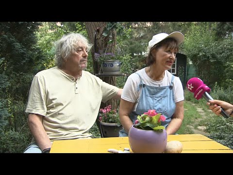 VIP svět (2024/17) - 17.07.2024 Petra Černocká | Celebrity a sociální sítě