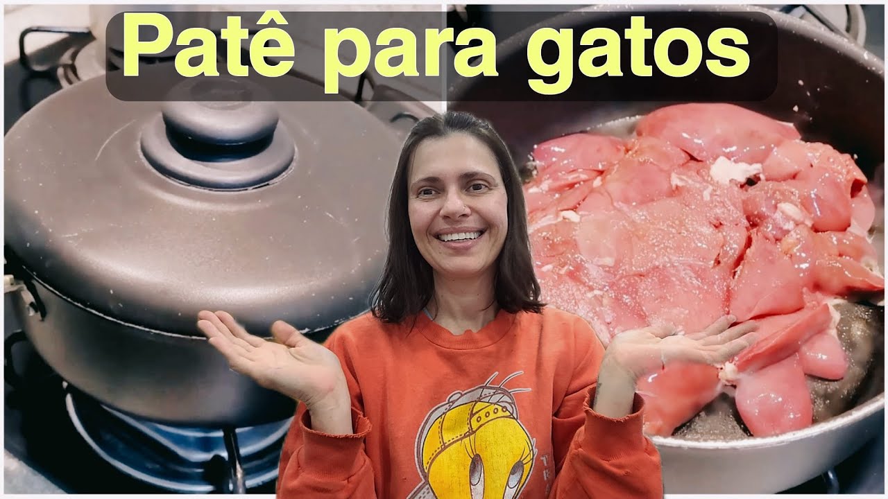 Como faço o patê  caseiro para os  gatos