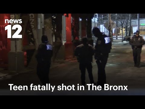 19-year-old man killed in Bronx shooting | News 12