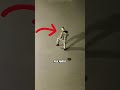O Palhaço Fez Algo Assustador Curiosidades Palhaço Susto