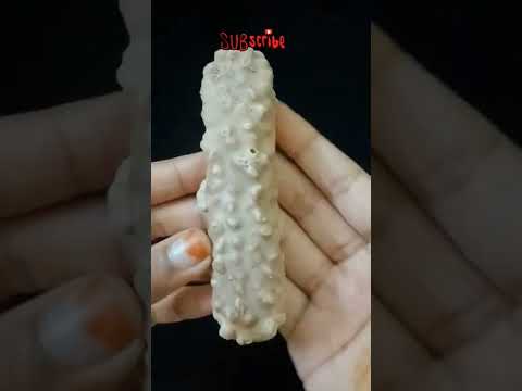 Safari Chocolate #Shorts #Safari #Queen's #Unboxing