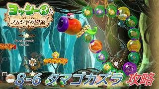 【ヨッシーとフカシギの図鑑】8-6 タマゴカズラの巣 調査、フラワーコンプリート【攻略/switch2】