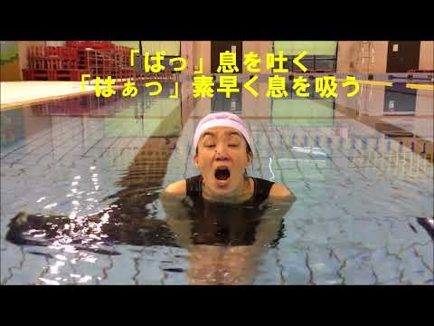 piscine-jardin-coin-detente-canape-coussins