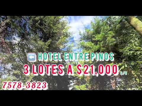 Lotes en San Ignacio, Chalatenango. A buen precio llamar: 7578-3823