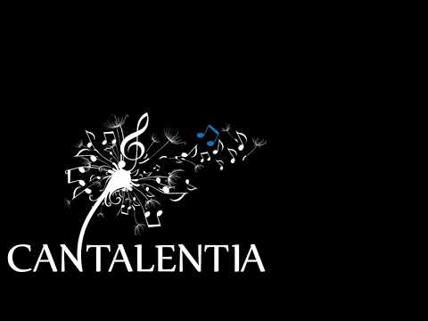 Christmas Lullaby I Cantalentia - A cappella Chor