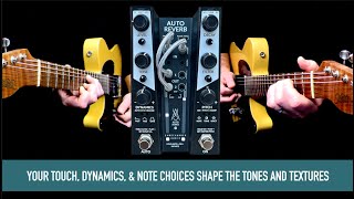 Video thumbnail for GAMECHANGER AUDIO AUTO REVERB by Mike Hermans