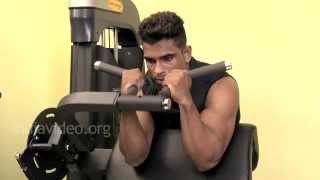 Preacher Hammer Curls - Biceps Exercise Guide 