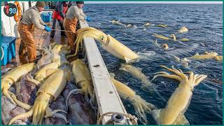 Download lagu Norway’s Unbelievable Fishing Scale — 6,900 Tons of Seafood Caught in Just 24 Hours mp3