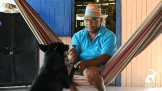 preview picture of video '¡Los habitantes de La Guajira nos necesitan!'