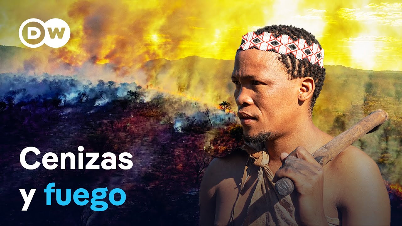 Conocimiento indígena: por qué es tan valioso contra los incendios forestales | DW Documental