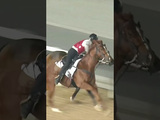 Thumbnail for Post ID: ScMtMq3AvrE