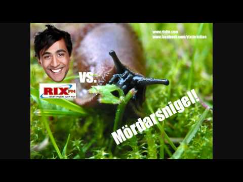 Christian Hedlund - Mördarsnigel Dö (parodilåt gjord när jag jobbade på RIX FM)