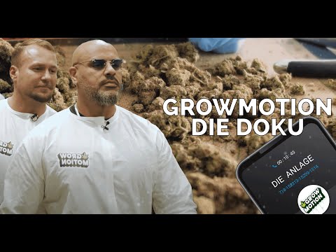 Massivs Cannabis Start-Up: Die Anlage – GrowMotion Doku