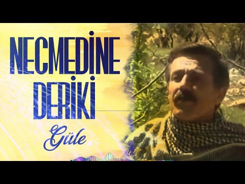 Necmedine Deriki - Güle