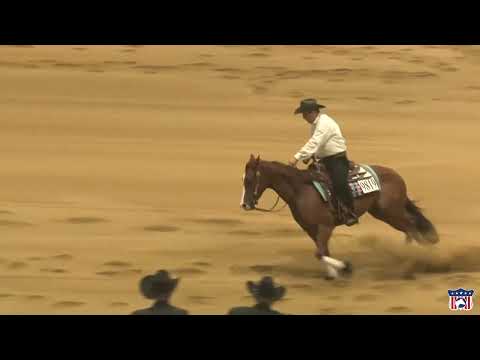 2023 Quarter Horse Congress Open Reining Finals Peter DeFreitas on One Shiney Syke