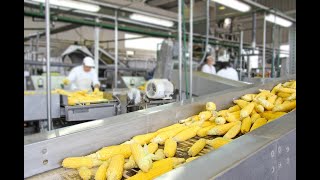 מה מצב תעשיית המזון בחוץ-לארץ▪️ הרב נחמנסון ▪️ (בית כנסת חב"ד חדרה) (הערוץ של הרב יהודה לייב נחמנסון) - התמונה מוצגת ישירות מתוך אתר האינטרנט יוטיוב. זכויות היוצרים בתמונה שייכות ליוצרה. קישור קרדיט למקור התוכן נמצא בתוך דף הסרטון