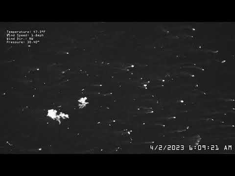 2023-04-02 Lime Kiln IR Fish