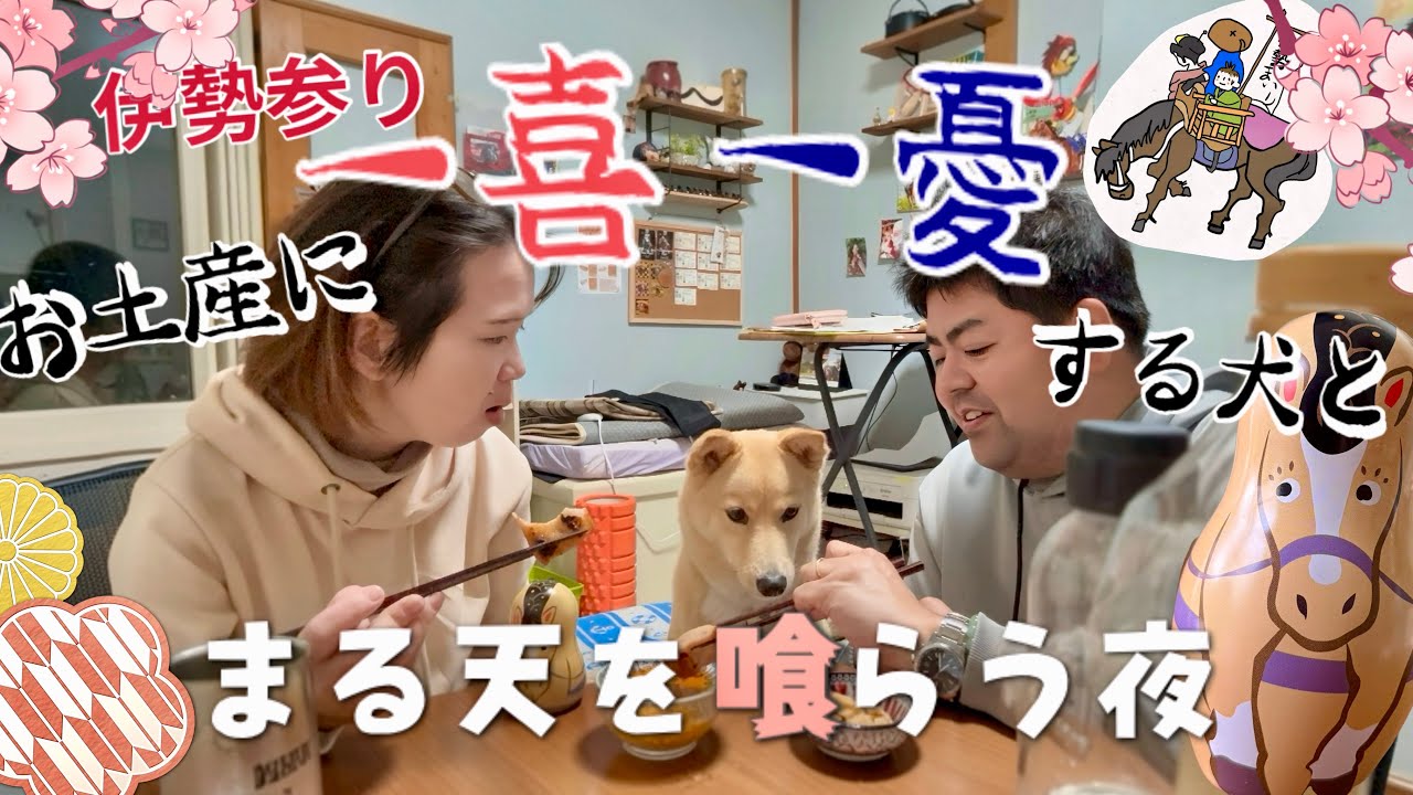 伊勢帰り⛩️お土産に一喜一憂の犬とまる天を喰らう✨