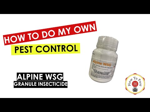 DIY Pest Control – Alpine WSG Insecticide Tutorial for Long-Lasting Pest Protection