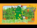 The Wiggles 搖擺家族 跟我跳舞吧 Dorothy