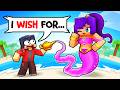 Playing Minecraft as a HELPFUL Genie! DEFAULT Thumbnail