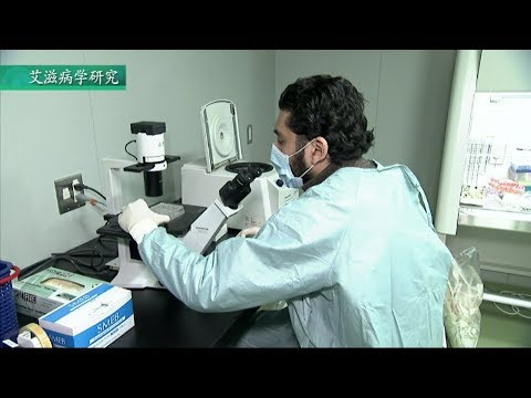 （Chinese） Introduction to Kumamoto University 大学介绍