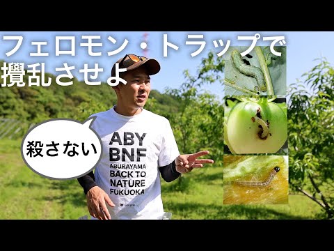 環境にとって危険