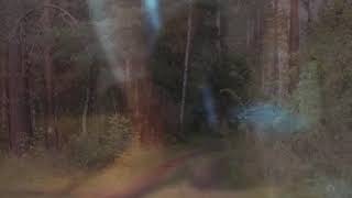 ��� ��������