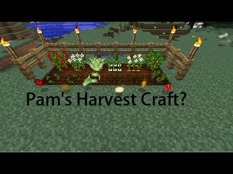 Pam's Harvest Craft?