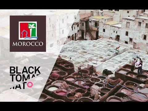 download lagu mp3 mp4 Black Tomato Morocco, download lagu Black Tomato Morocco gratis, unduh video klip Black Tomato Morocco