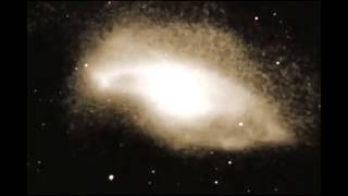 Noisear - Inevitable Extinction