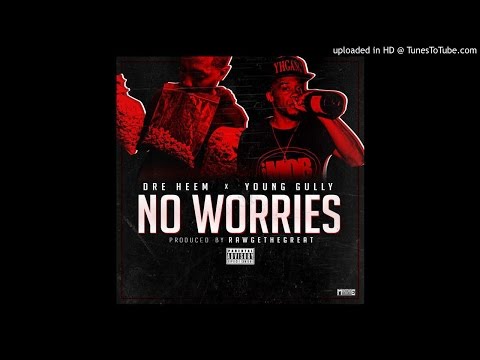 Dreheem X Young Gully - No Worries