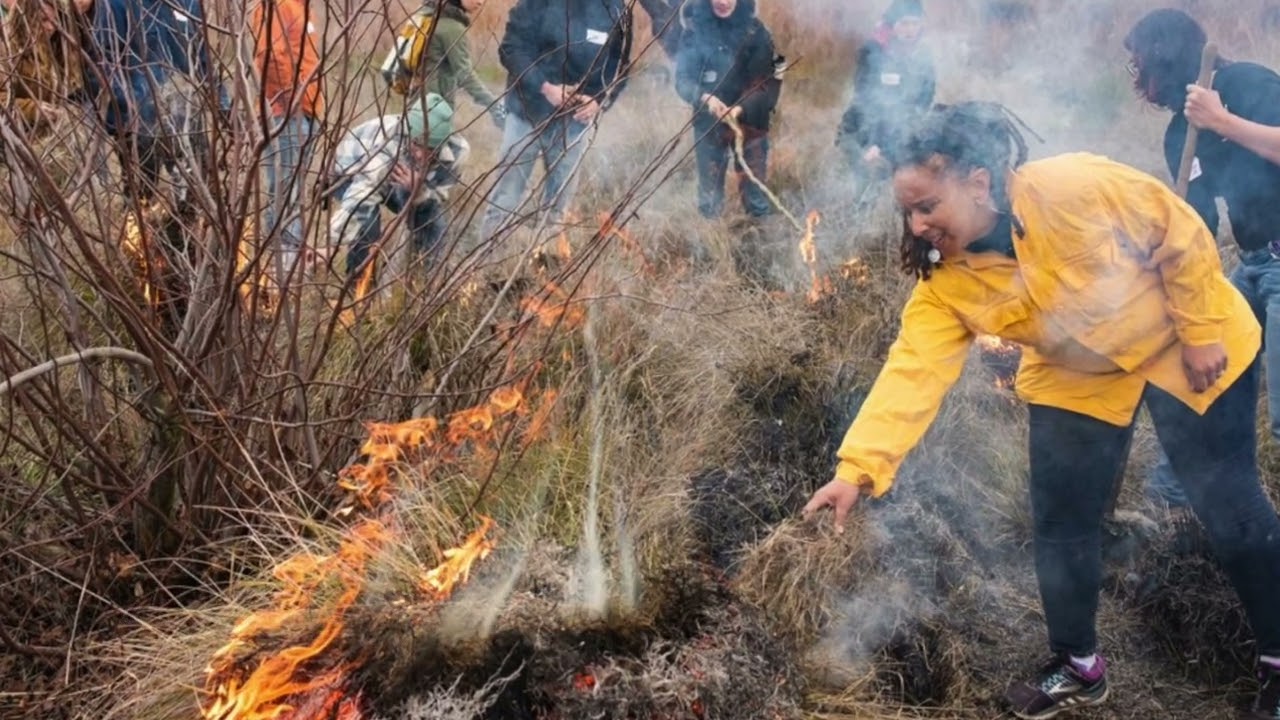 Assignment 1, Reflection 3 - Forest Fires