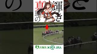 【目が覚める様な末脚】 #シーキングザパール #nhkマイルカップ #シンデレラグレイ #競馬 #ウマ娘