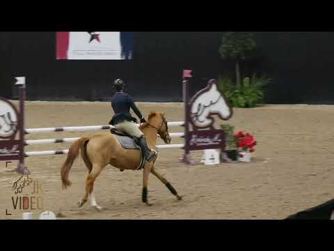 2022 02 02 Kallini 0.95m Jumper Class