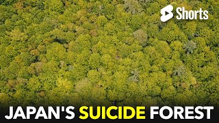 The Mysterious Suicide Forest #124