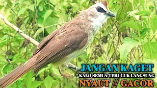 Download lagu 𝐏𝐚𝐧𝐜𝐢𝐧𝐠𝐚𝐧 𝐓𝐫𝐮𝐜𝐮𝐤𝐚𝐧 𝐏𝐚𝐥𝐢𝐧𝐠 𝐀𝐦𝐩𝐮𝐡 𝐒𝐚𝐭𝐮 𝐊𝐚𝐥𝐢 𝐏𝐮𝐭𝐚𝐫 𝐓𝐫𝐮𝐜𝐮𝐤 𝐋𝐚𝐢𝐧 𝐈𝐤𝐮𝐭 𝐍𝐲𝐚𝐮𝐭 𝐆𝐚𝐜𝐨𝐫 𝐓𝐞𝐫𝐛𝐮𝐤𝐭𝐢 mp3 Download lagu 𝐏𝐚𝐧𝐜𝐢𝐧𝐠𝐚𝐧 𝐓𝐫𝐮𝐜𝐮𝐤𝐚𝐧 𝐏𝐚𝐥𝐢𝐧𝐠 𝐀𝐦𝐩𝐮𝐡 𝐒𝐚𝐭𝐮 𝐊𝐚𝐥𝐢 𝐏𝐮𝐭𝐚𝐫 𝐓𝐫𝐮𝐜𝐮𝐤 𝐋𝐚𝐢𝐧 𝐈𝐤𝐮𝐭 𝐍𝐲𝐚𝐮𝐭 𝐆𝐚𝐜𝐨𝐫 𝐓𝐞𝐫𝐛𝐮𝐤𝐭𝐢 mp3