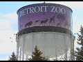How The Detroit Zoo Is Overcoming The Challenges Of The Pandemic
