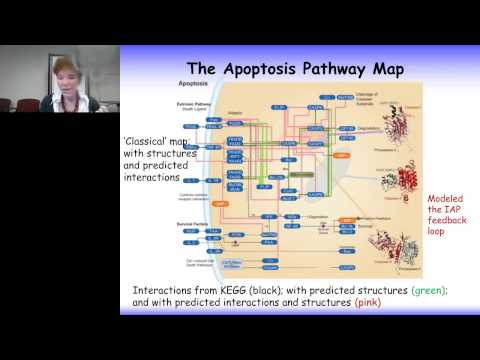 Ruth Nussinov - Structural Pathways of Cancer