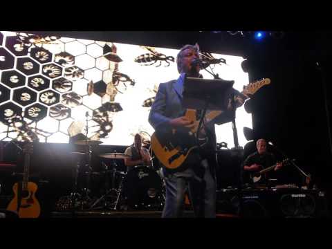 Only 15 - Squeeze